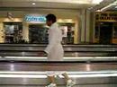 Orlando International Airport - Vaeda