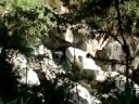 Rota alternativa Aguas Calientes - Machu Picchu (Parte 4/13)