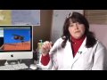 Mosquitoes affect humans in that they are pests, they cause itching, and they spread diseases. Discover how mosquitoes can be responsible for the West Nile Virus and malaria with help from a teacher in this free video on mosquitoes and insects. Expert: Janice Creneti Bio: Janice Creneti has a BS in secondary science education and a BA in biology from Boston University. Filmmaker: Christopher Rokosz