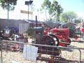 Royal Adelaide Show