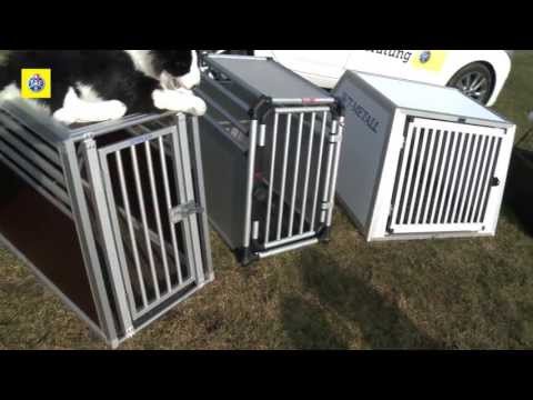 TCS-Test: Hundeboxen