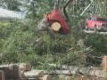 Log Max 7000XT on Cat 320C