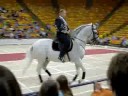 lipizzaner traditional Spanish music