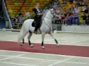 lipizzaner traditional Spanish music