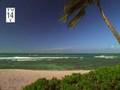 Lost video Ocean size love