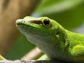 le jardin des plantes