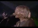 nirvana-marijuana\moist vagina
tribute music video