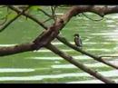 More Vietnam