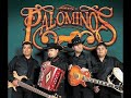 LOS PALOMINOS - ESCUCHA MI AMOR