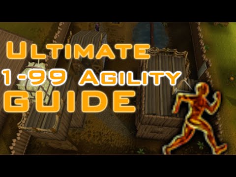 how to train agility 1-99