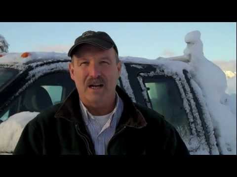 6 18 2012 - Part I of a series, published on January 7, documenting the troubles of one small, coastal Alaskan town, Cordova. To view Part II, published on January 11, v...