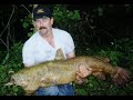 Big Catfish Big Catfish
