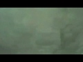 Rocketboom: World War Internet