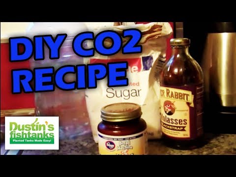 how to grow aquarium plants fast