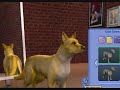 How to make Miles \"Tails\" Prower on the Sims 2 Pets How to make Miles \"Tails\" Prower on the Sims 2 Pets
