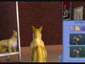 How to make Miles Tails Prower on the Sims 2 Pets