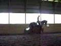 Vegas: The World's Most Beautiful Horse