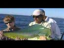 DOUG AND DOUGIE ROCHE- FATHER AND SON DORADO DAY DOUG AND DOUGIE ROCHE- FATHER AND SON DORADO DAY