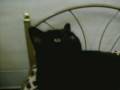 videos de Lucifer