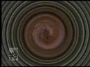 Blockstar DVD Vol.2 - E-40 Soak Game