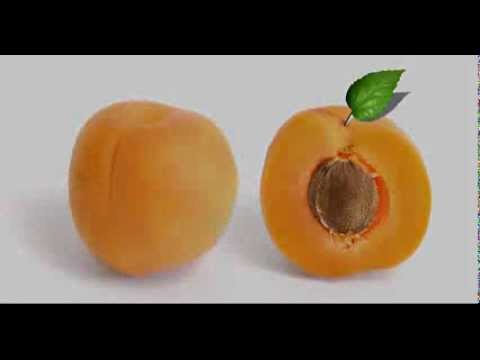 how to harvest apricot seeds