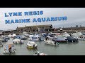 Lyme Regis Marine Aquarium Lyme Regis