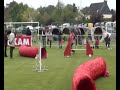 Click here to watch this video Agility Cookie Manche Jumping Samedi Selectif Par Equipe Ploërmel 2012