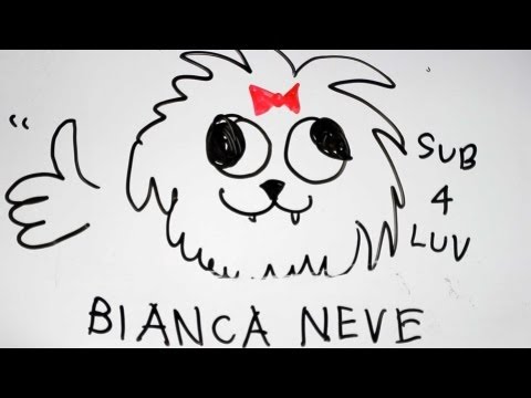 how to draw puppies