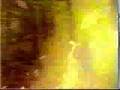 My Dying Bride - Songless Bird