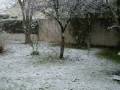 Neige sur Plaisance du Touch le 26 décembre 2008