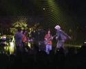 Jah nattoh & Bocer feat.Arraigo band _Live La Paloma_11-03-2