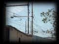 videos de balance