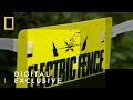 What would happen if you peed on an electric fence?