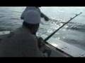 video ca canh dai duong CAU CA NGU DAI DUONG 2 (40 KILO - 2 Tuna ...