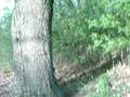 videos de Warfare part 4