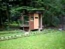 Chinesische T�mmler