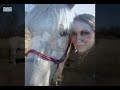 Unsere Pferde M�rz 2007