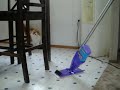 Cat vs. Swiffer Cat vs. Swiffer