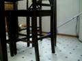 DSCN2575.MOV