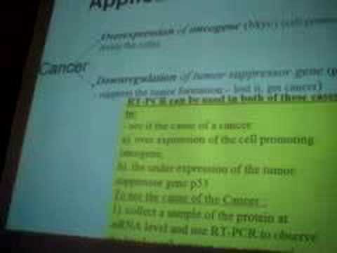 RT-PCR 2