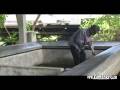 Les gardiens du lavoir de la Source