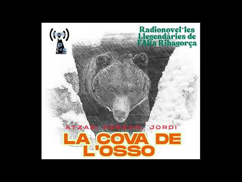 Imatge de previsualització de YouTube