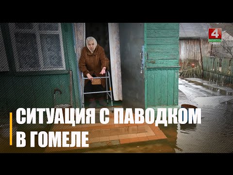 «Мой дом на востраве Венецыя» Жыхары вул. Кааператыўнай, што ў Гомелі ўжо пакутуюць ад паводкі видео