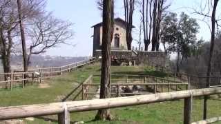 Santuario Madonna della Rocchetta