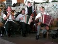 Musikantentreffen - 's Koide Wasserl