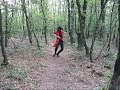arara arara