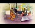 Spot electoral oficial