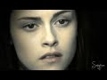 Search Video
