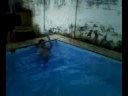 Bestoboll