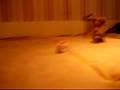 videos de PC030014.MOV